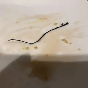 Is this a leg or antenna?