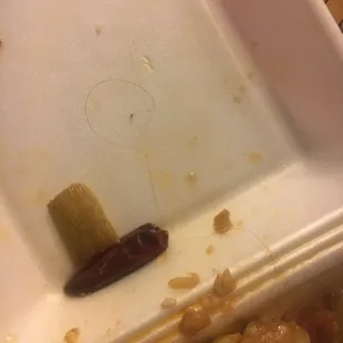 The hair in my husband's tray. It was buried underneath all the rice. Makes me wonder what I've consumed on my own tray!