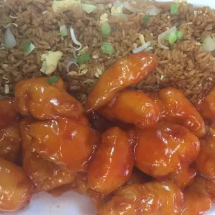 The food is very fresh