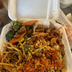 Lo mein fried rice, broccoli and beef, teriyaki chicken