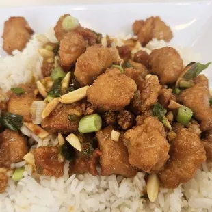 Honey Glazed Spicy Chicken. Fairly tarty and tough.