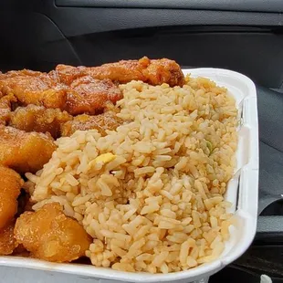 Orange and teriyaki chicken
