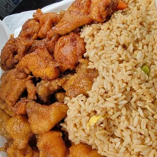 Orange and teriyaki chicken