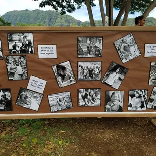 The history of the Farm, in pictures