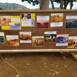 The history of the Farm