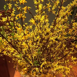 Pinch of Spring &amp; Happiness in restaurant