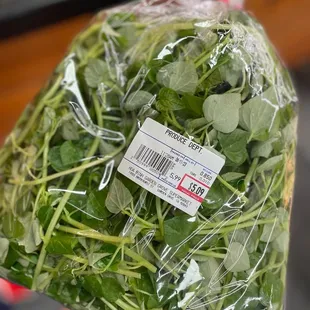 Crab Claw Herb (rau càng cua)-my new favorite veggie, has a crunchy texture even after you sautéed it. Quite pricy, have great benefits.