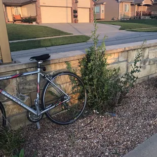 Landscape maintenance is an ongoing problem. The entrance to my development grows tall weeds. HMS regularly violates their own covenants.