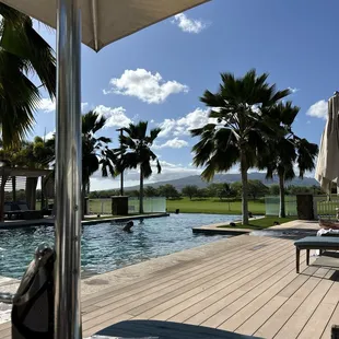 The view.