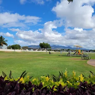 Playground with field in the background