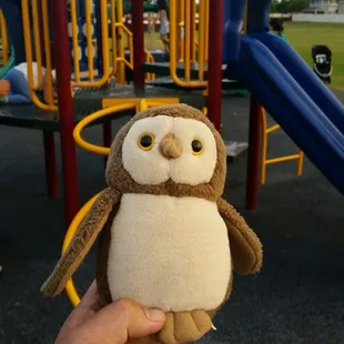 Rosie the pue'o came to the park today.