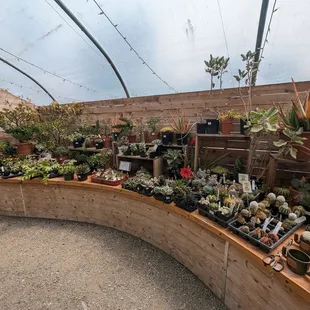 Indoor section