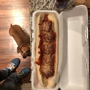 Footlong meatball!