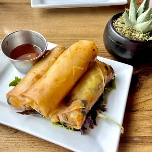 Spring Rolls