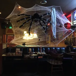 a spider web hanging from the ceiling