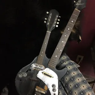 a guitar and a cat
