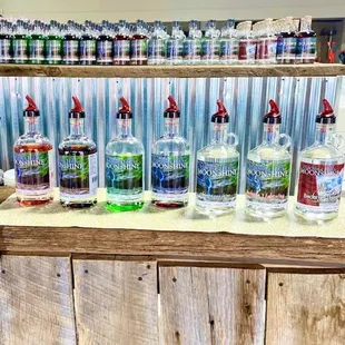 Pretty ladies all in a row