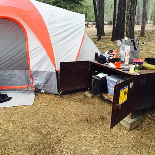 Bear proof storage  45x18x33