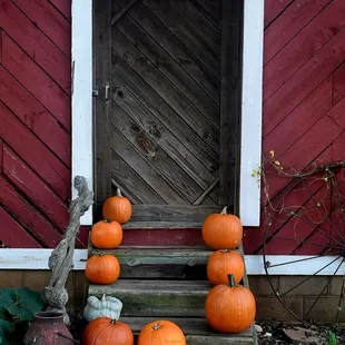 The side of the barn which was also a great area for pictures m.