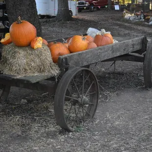 Lots of different photo opportunities