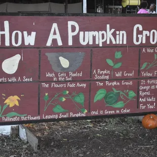 It starts with a seed