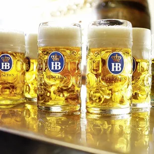 Hofbräu Beer imported from Munich, Germany