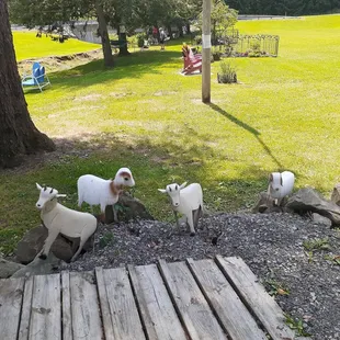 outside, ramen and noodles