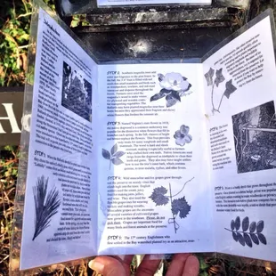 Use the trail guide as you walk through the Homestead Trail.