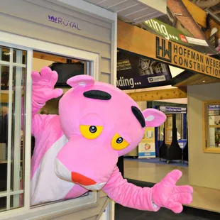 a pink pig mascot waving out of a window