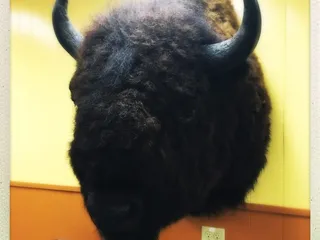 Quality Cut Meats