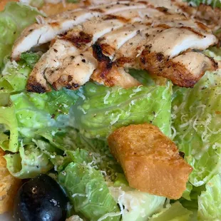 Caesar Salad with chicken