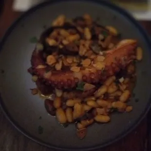 Octopus was delicious