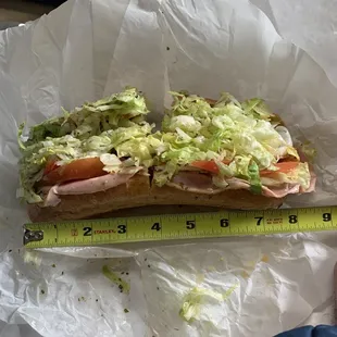 The Hog Islander Italian Hoagie (definitely not 9&quot;)