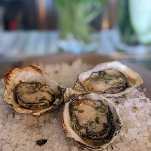 Bagna cauda grilled oysters (it comes with 4 but someone ate 1 before I took the photo...)