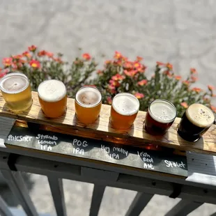 Hog Molly Brewing