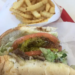 Cheese Steak and Onions
