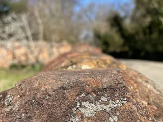 Mobjack Bay Coffee Roasters