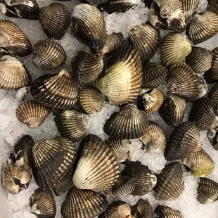 We offer Bloody Clams now!