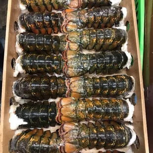 Lobster Tails are now available!