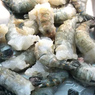 Jumbo Shrimp is Available!