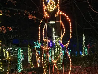 Christmas at the Zoo