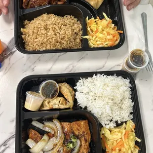 Teriyaki Chicken Bento and Salmon Teriyaki Bento