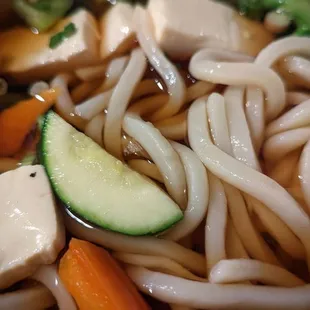 Vegetable udon