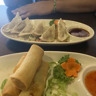 6 Pieces Gyoza, 3 Pieces Harumaki