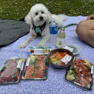 soup, food, soups and chowder, chowder