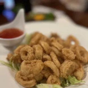 Fried Calamari