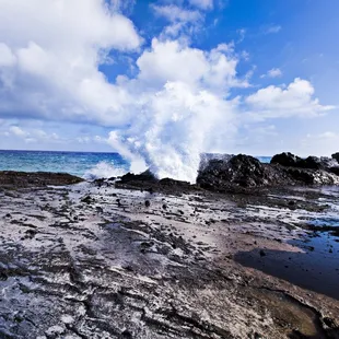 Five Star Circle Island - Halona Blowhole   (808) 439-8810
