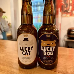 lucky beer