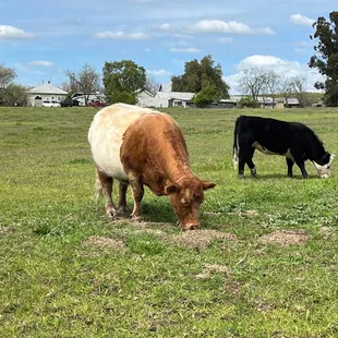 There is a farm along one of the trails