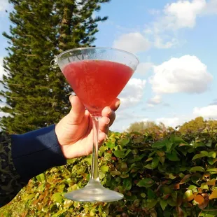 Try one of our new scratch cocktails from our cocktail menu today!